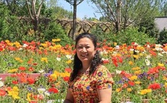 网游之战御天下